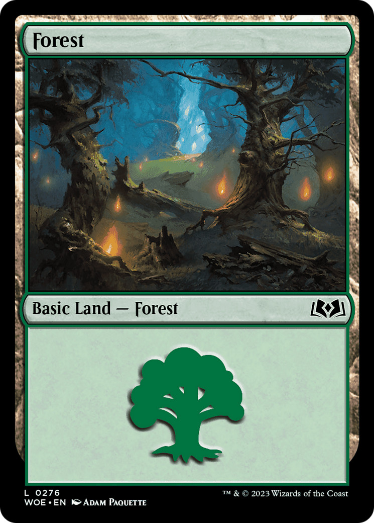 x4 Forest WOE MTG 276 BASIC LAND M/NM 4x