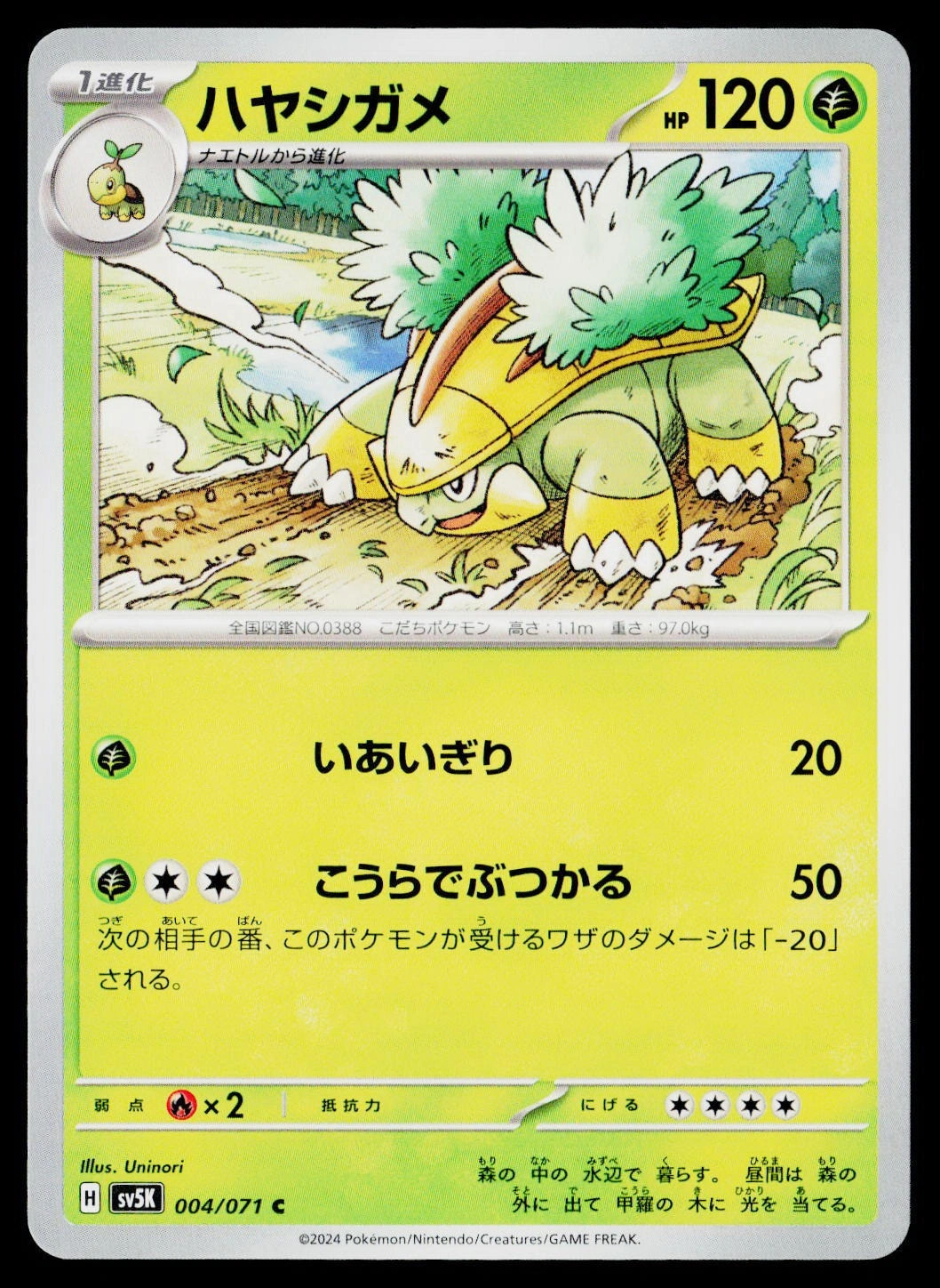 Grotle (Japanese) (JP) 004/071 Wild Force Common NM Pokemon TCG