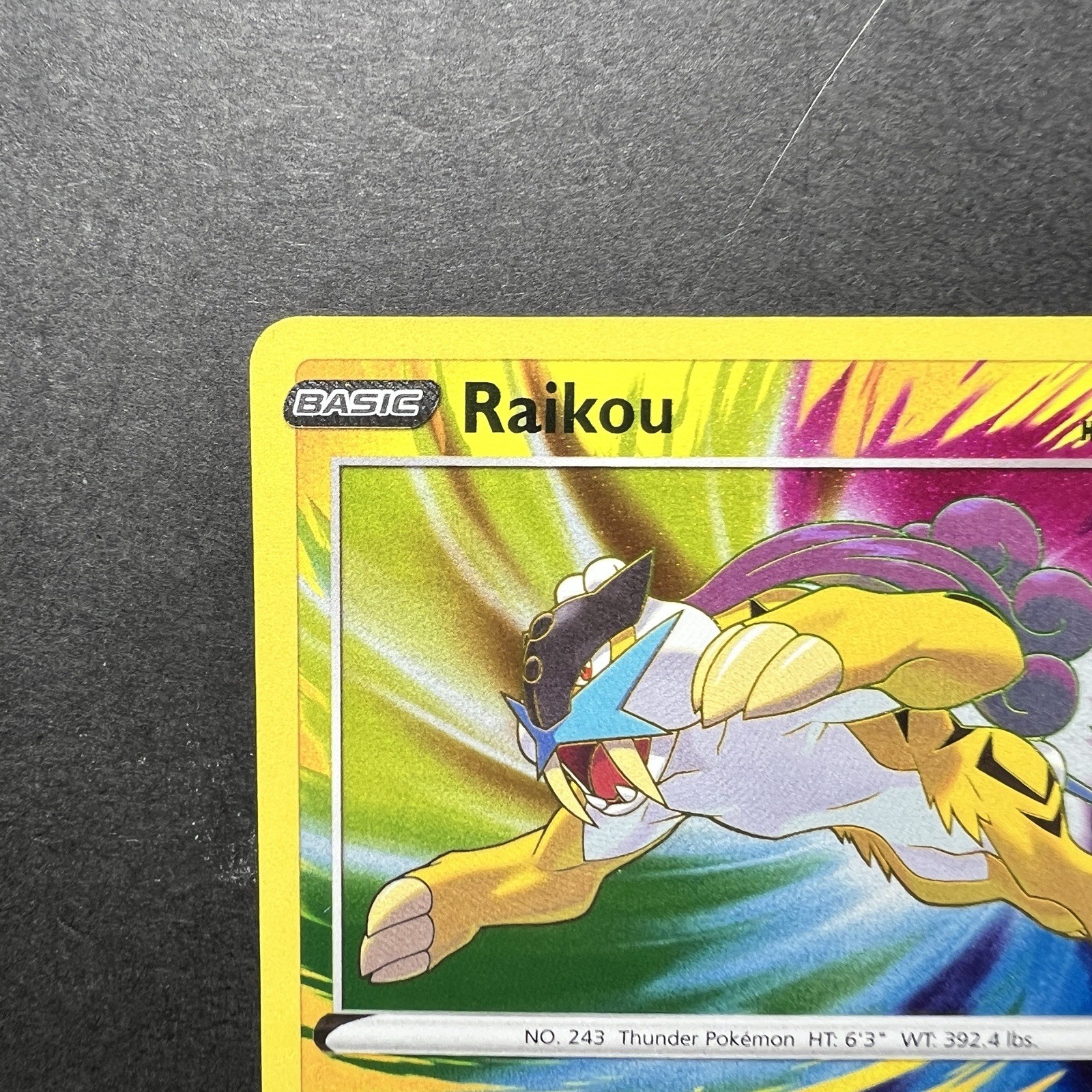 Raikou 050/185 SWSH04: Vivid Voltage (SWSH04) Amazing Rare Holo 2020
