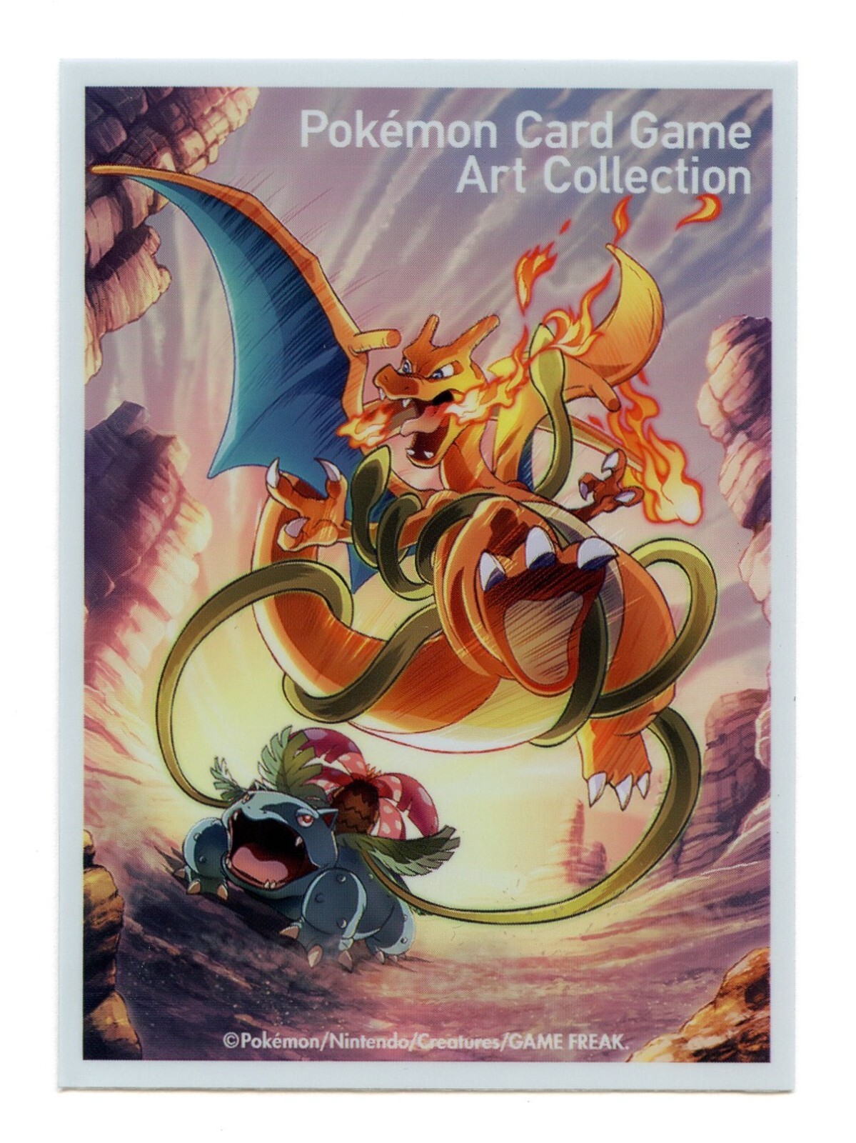 Charizard & Venusaur Individual Sleeve Pokemon Card Game Art Collection Campaign