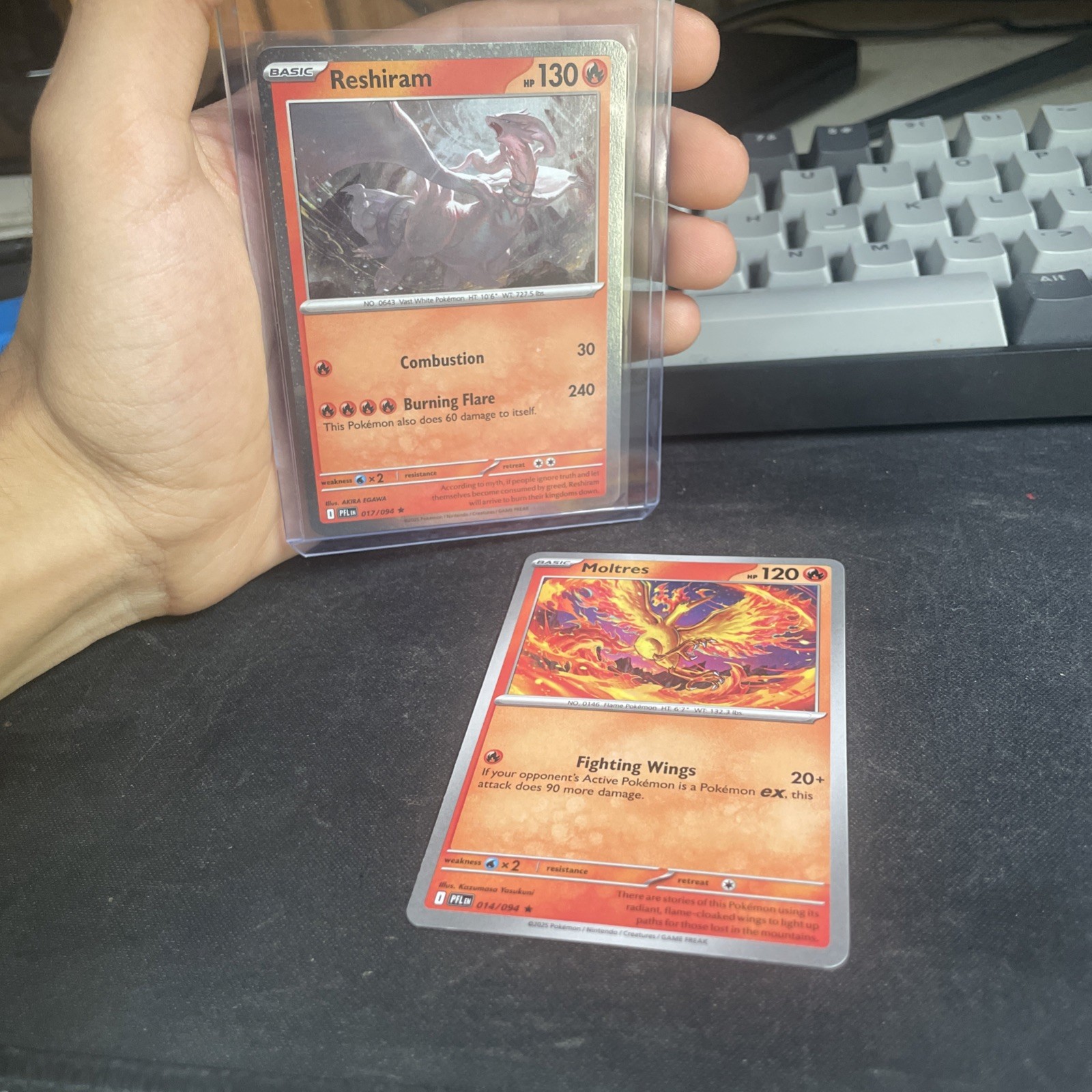 Reshiram – (Cosmos Holo) 017/094 Blister Exclusives Holo Near Mint