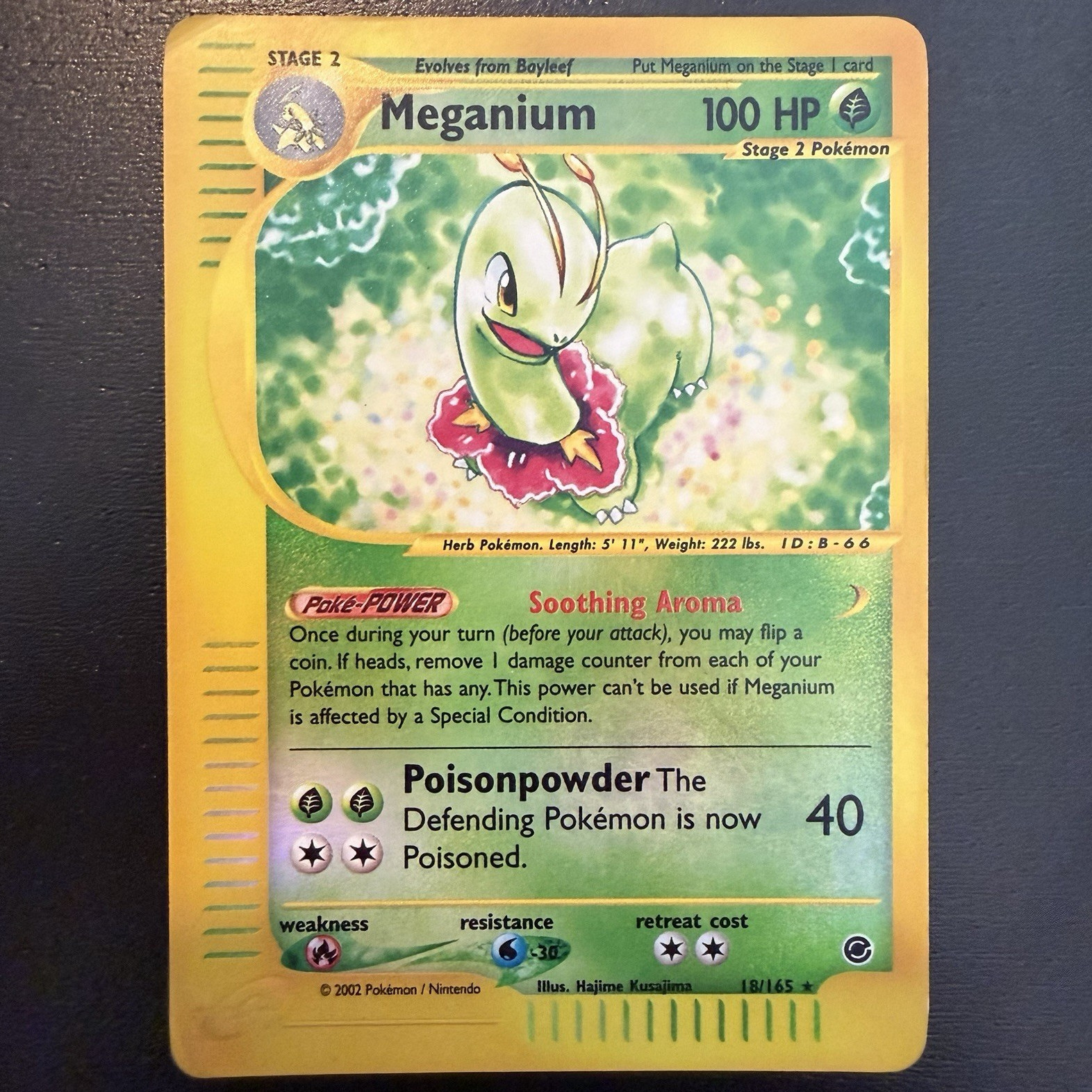 Pokemon TCG Meganium Expedition Base Set Holo Rare 18/165 Stage 2 100 HP