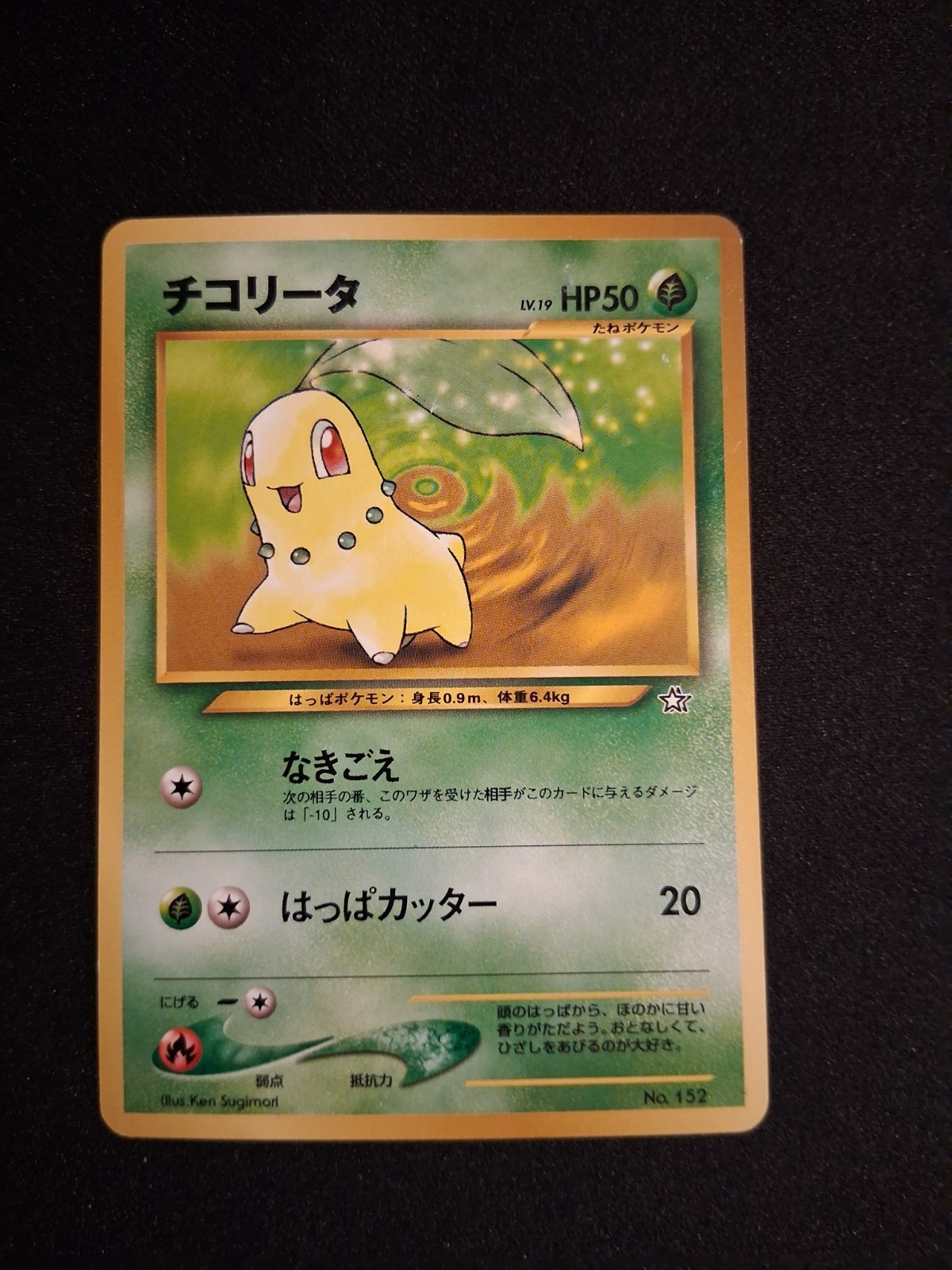 Chikorita Neo Premium File 1 Regular (Japanese)