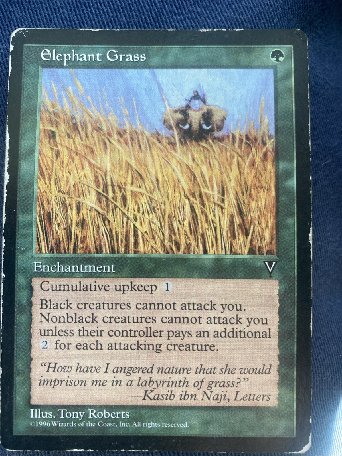 Elephant Grass Visions Regular MP