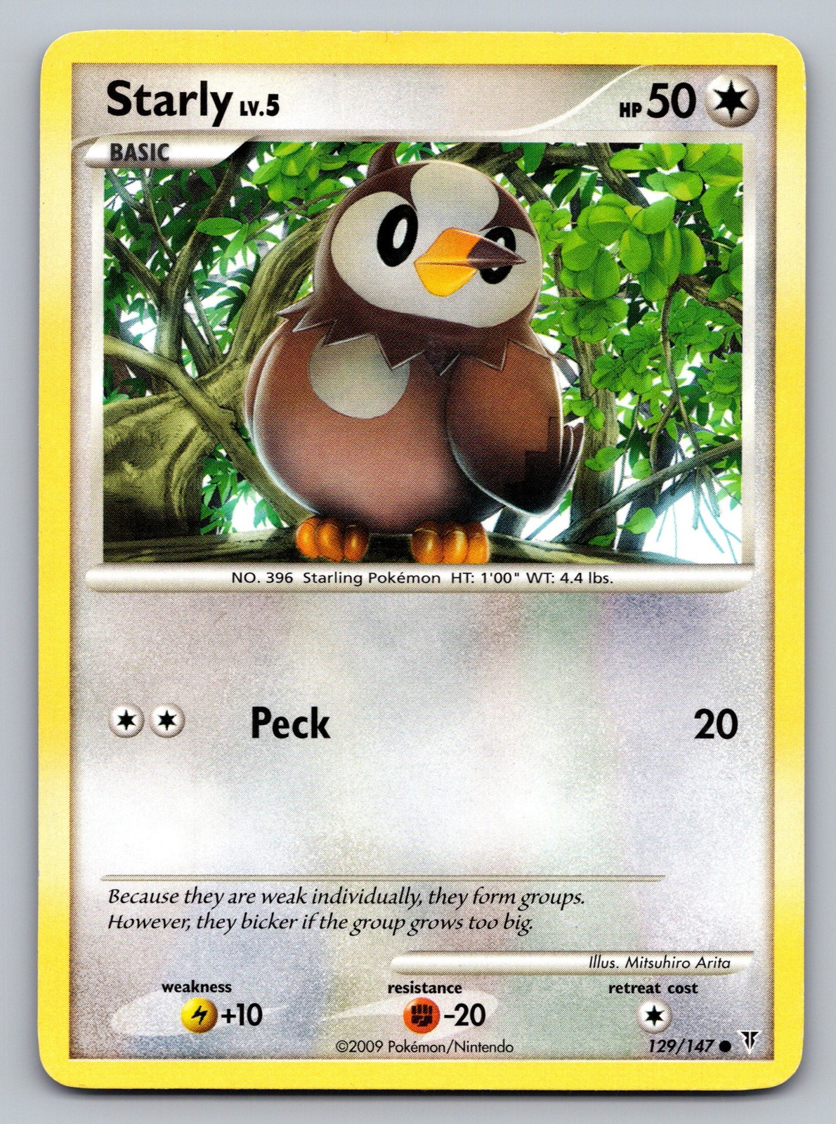 DPt Gift Box (Piplup) #009/015 Starly