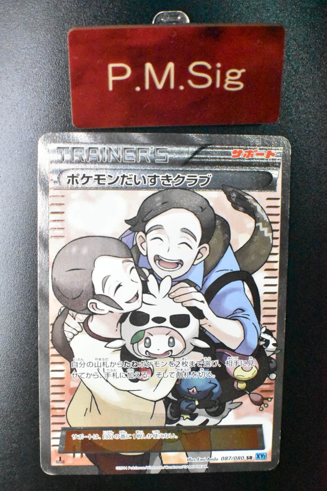 Pokemon Fan Club 087/080 Wild Blaze 2014 SR 1st Edition Full Art Pokemon Card