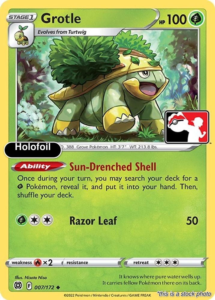Grotle Holofoil Uncommon 007/172 NM