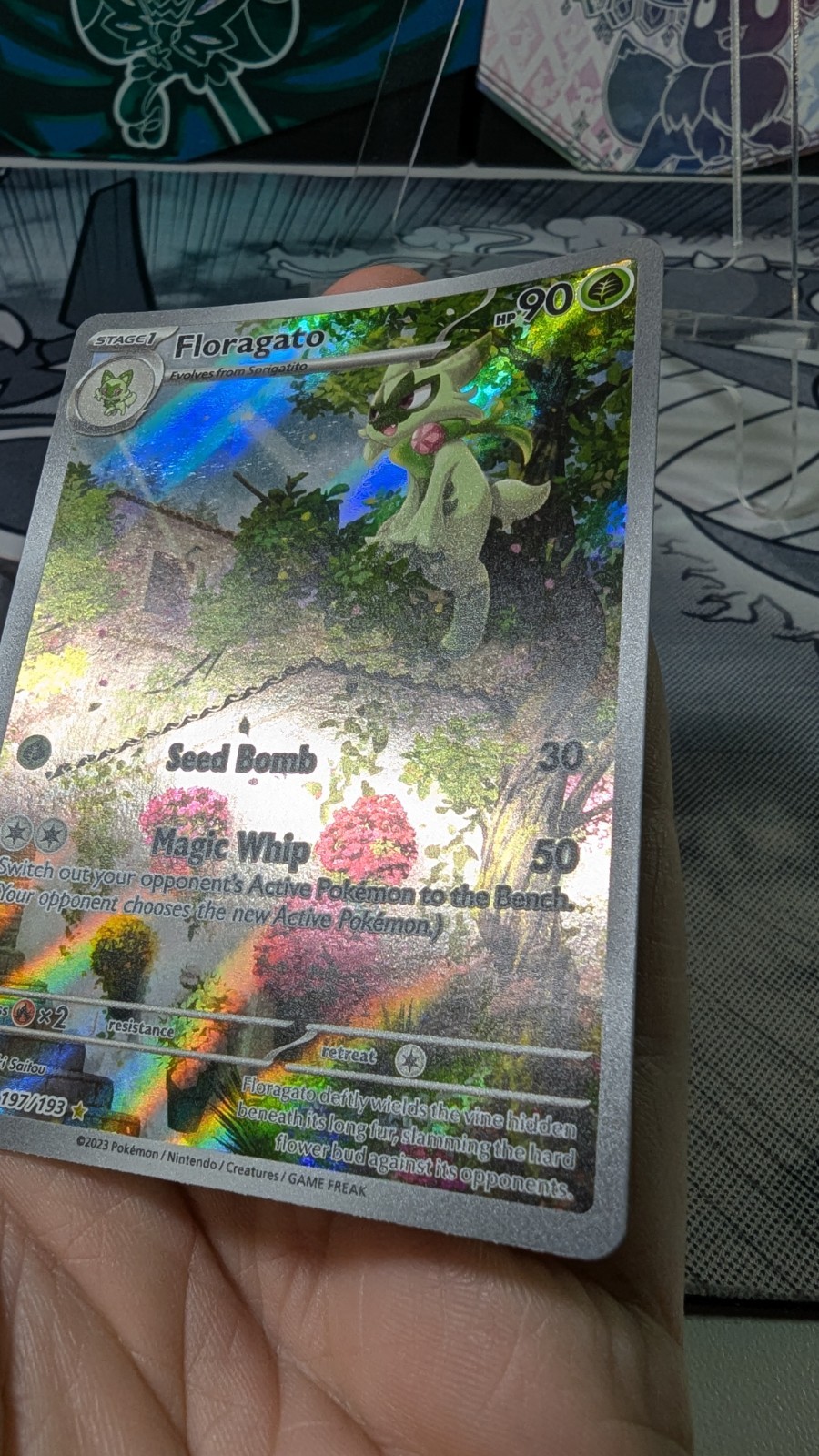 Floragato 197/193 Sv02: Paldea Evolved Holo