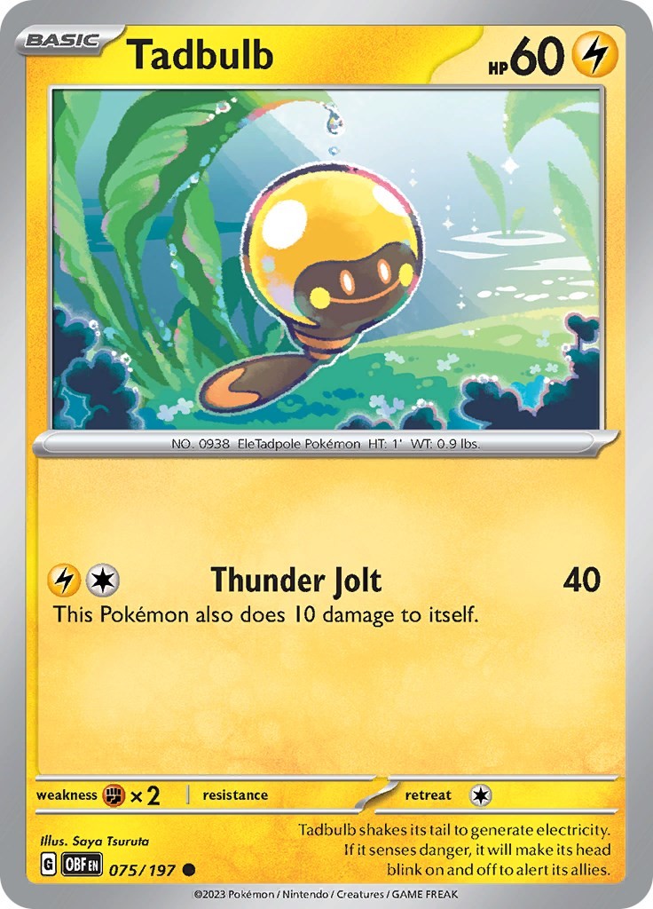 Tadbulb OBF 075/197 Pokémon SV03: Obsidian Flames Common EN NM