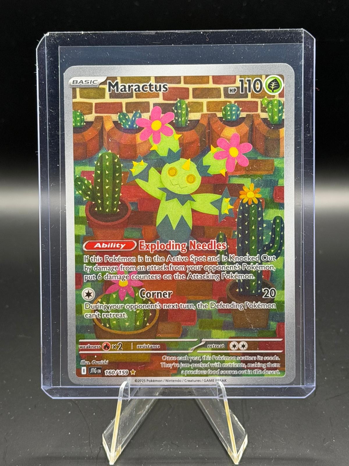 Maractus 160/159 Illustration Rare Journey Together Pokemon Holo Near Mint