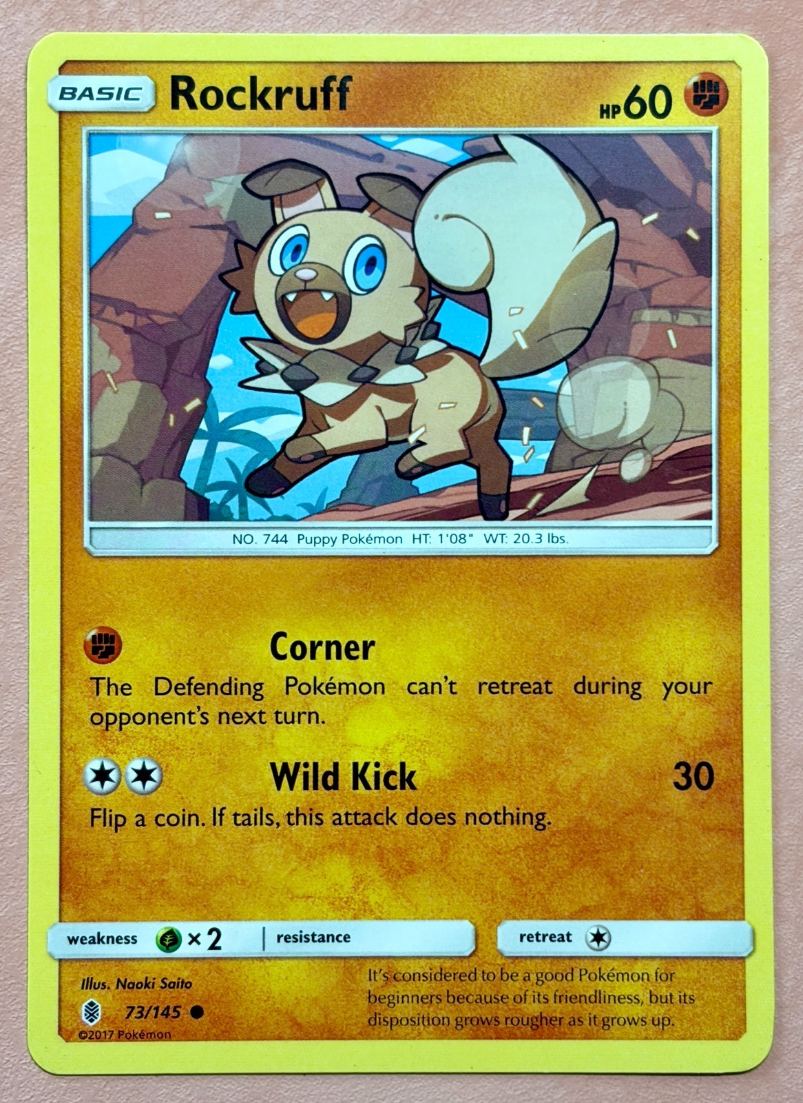 Rockruff~ Cute Pokemon Cards~ Fighting-Type Pokemon Collection