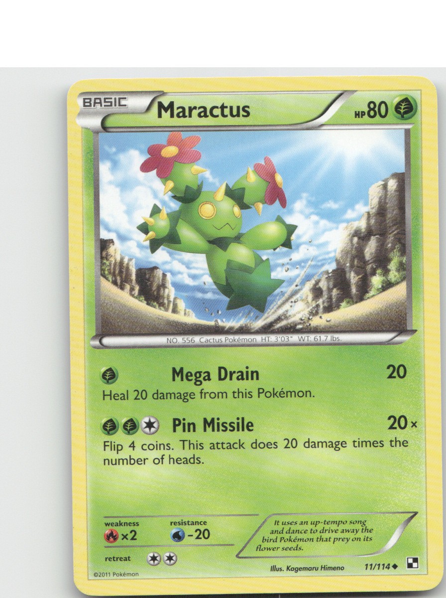Maractus (11) Black and White [BLW – 11/114]