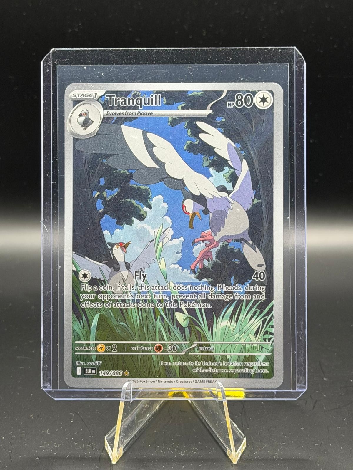 Tranquill 149/086 Holo Illustration Rare Black Bolt Pokemon Near Mint