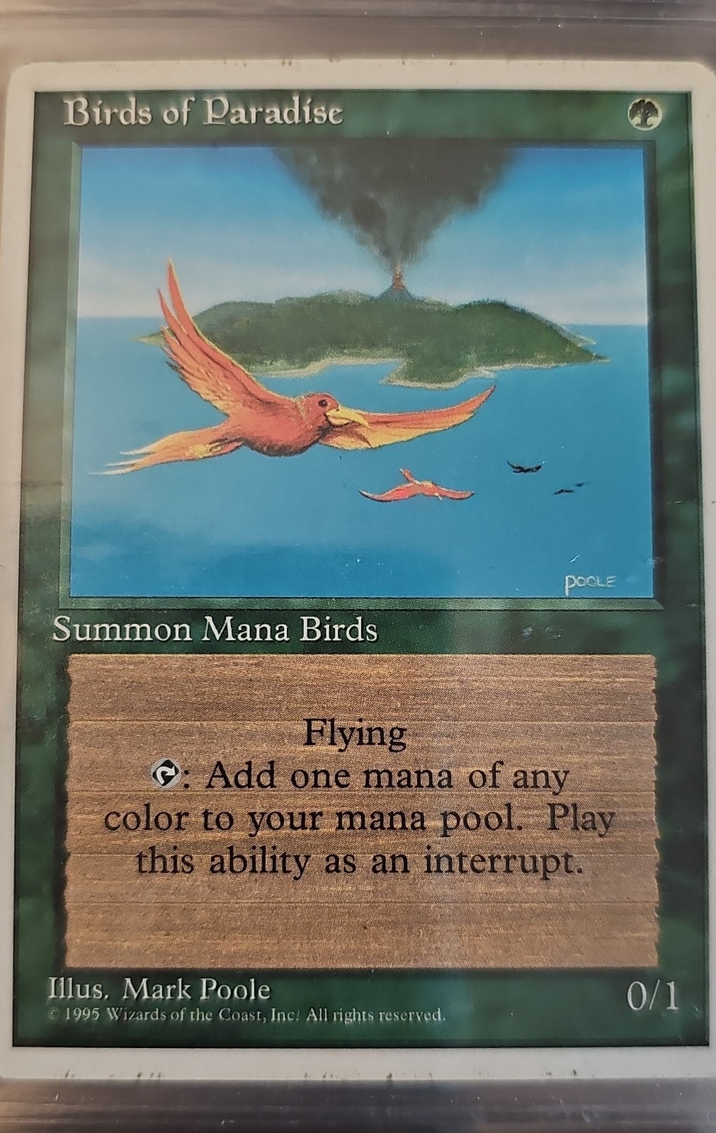 MTG Birds of Paradise Alternate 4th Edition Regular Rare Magic the Gathering