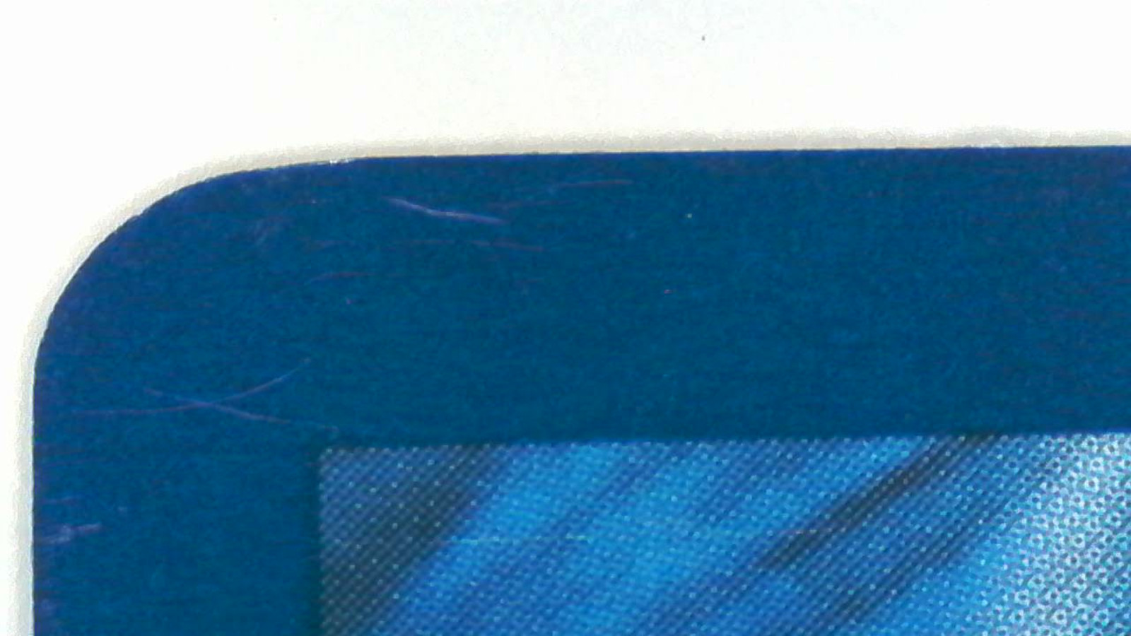 Pokemon TCG Xerneas 81/114 Holo XY Steam Siege LP Light Play