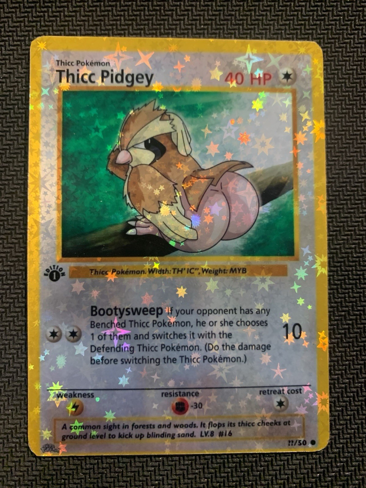 Thicc Pidgey (Alternative Custom Art ) Holografic Card