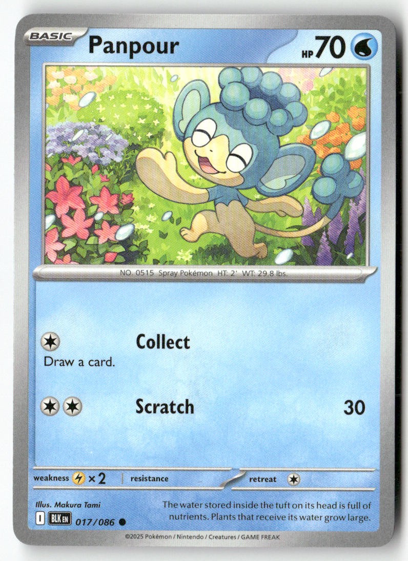 Panpour 017/086 Black Bolt Common Pokemon Makura Tami