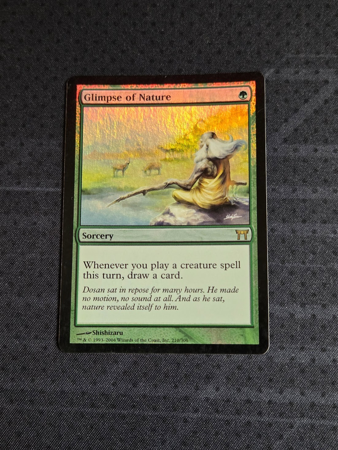 MTG Magic the Gathering – Glimpse of Nature FOIL – Champions of Kamigawa – LP