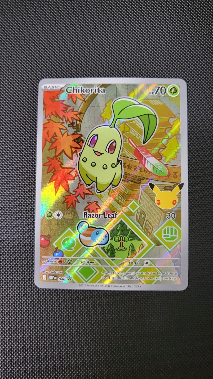 Pokemon First Partner Series 2 – Johto Starter Set