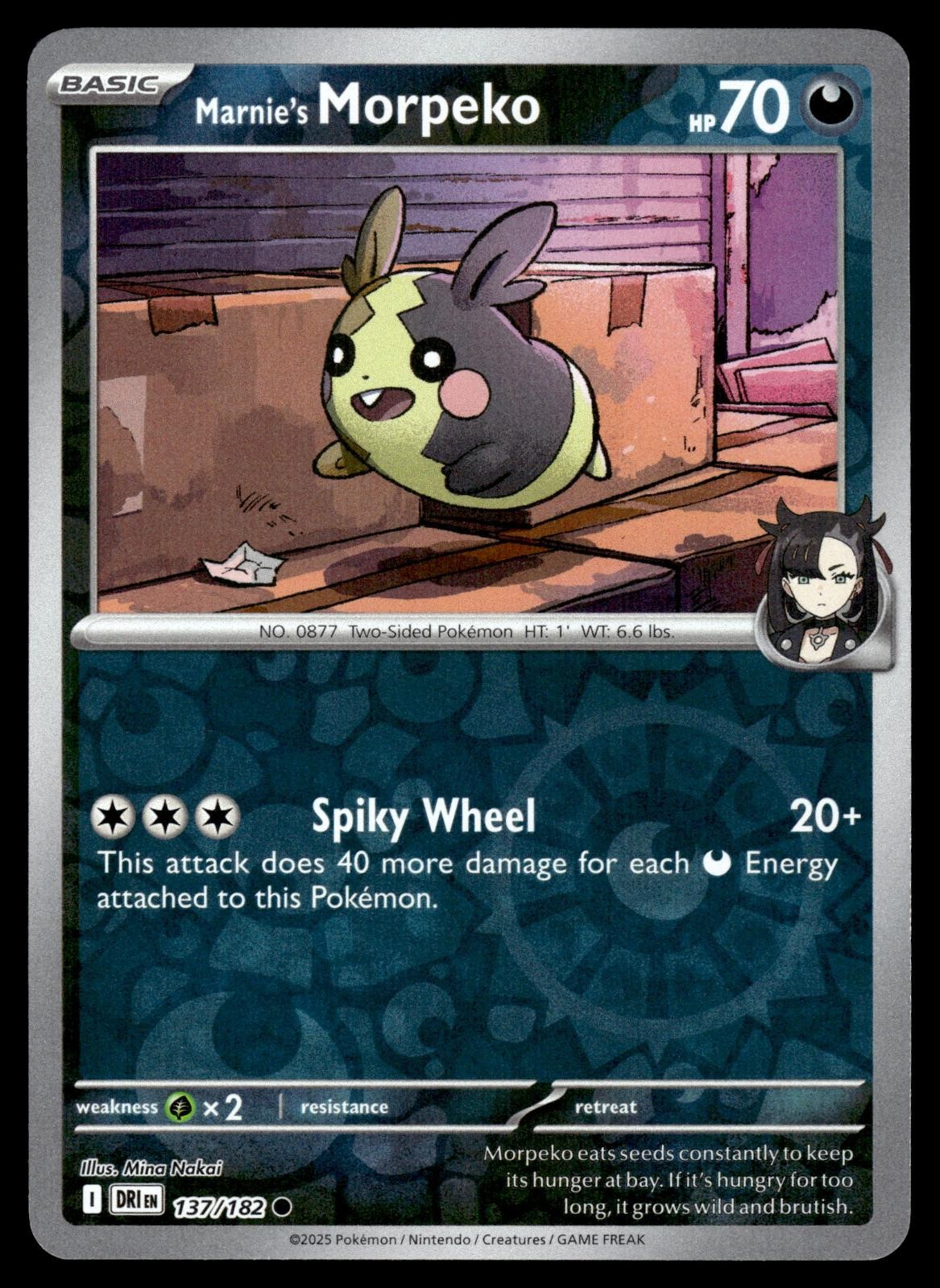 Marnie’s Morpeko 137/182 Common Destined Rivals Pokemon Reverse Holo Near Mint