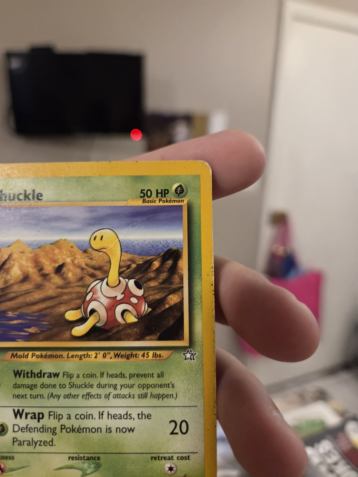 Shuckle 72/111 Neo Genesis Regular