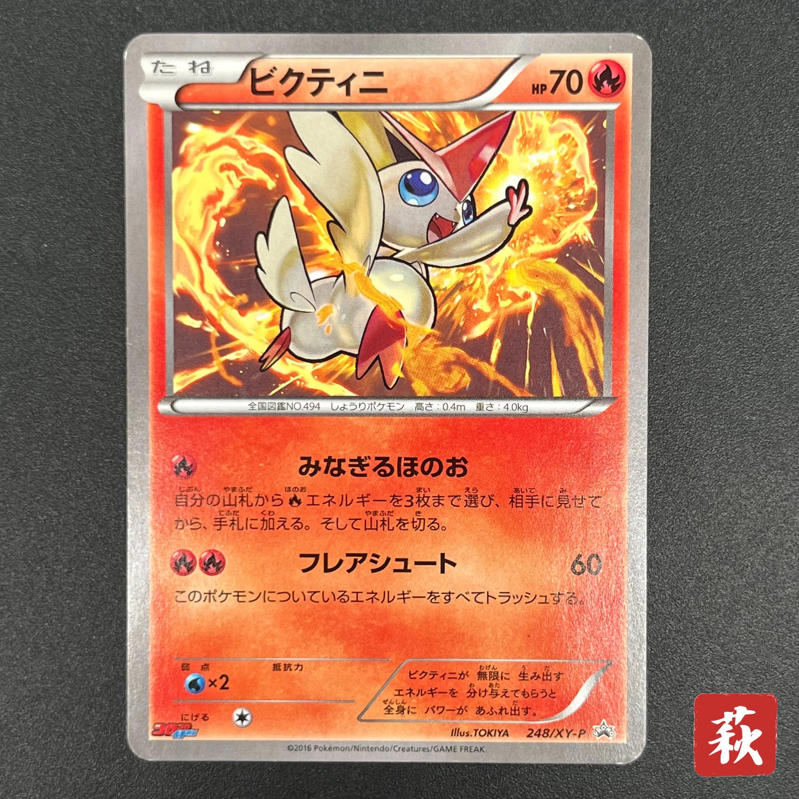 [No Import Duty (US)] Victini 248/XY-P XY CoroCoro Ichiban! Promo Pokémon Card