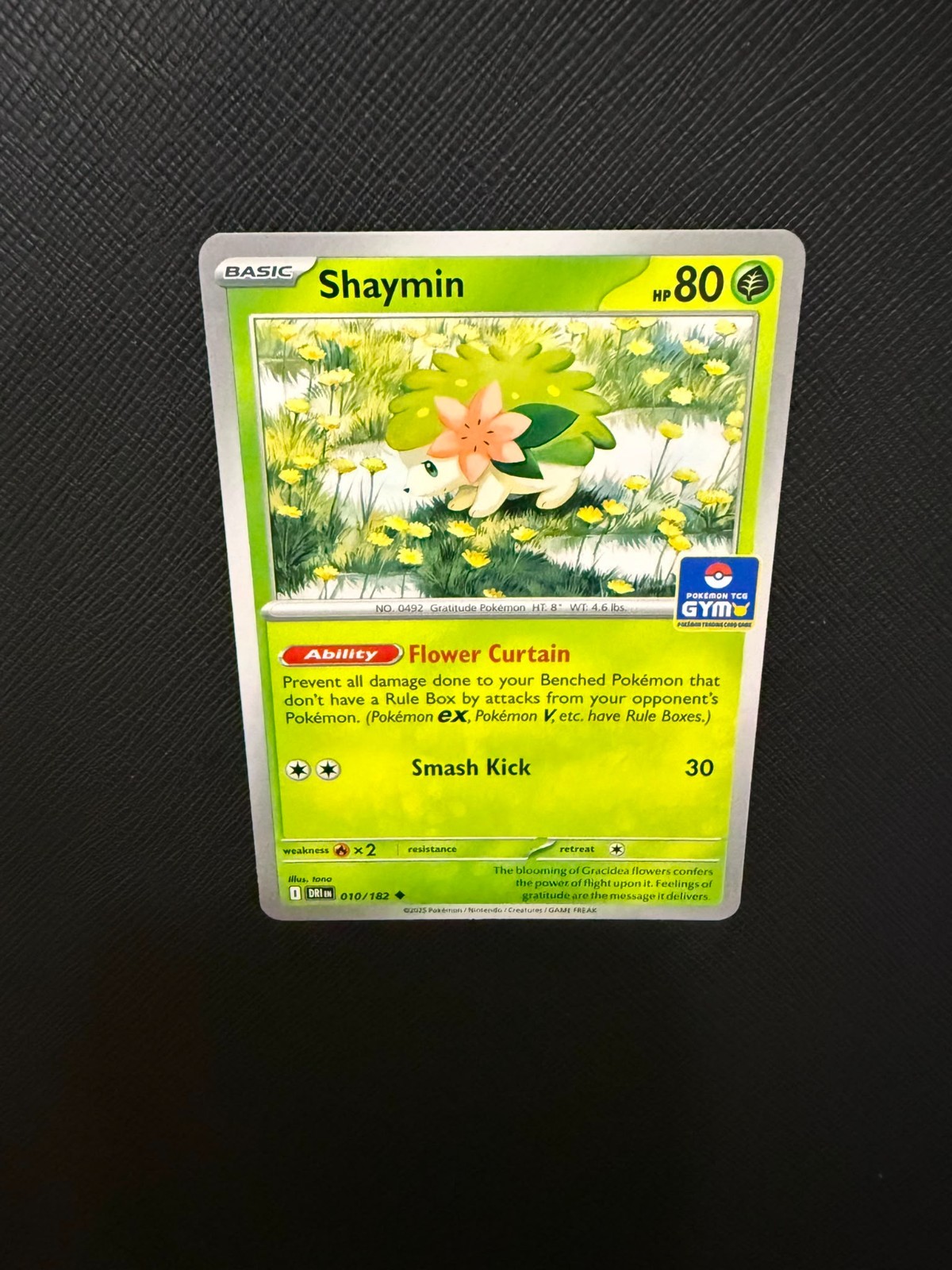 Pokemon Asia Exclusive Shaymin Gym Promo Stamped 010/182