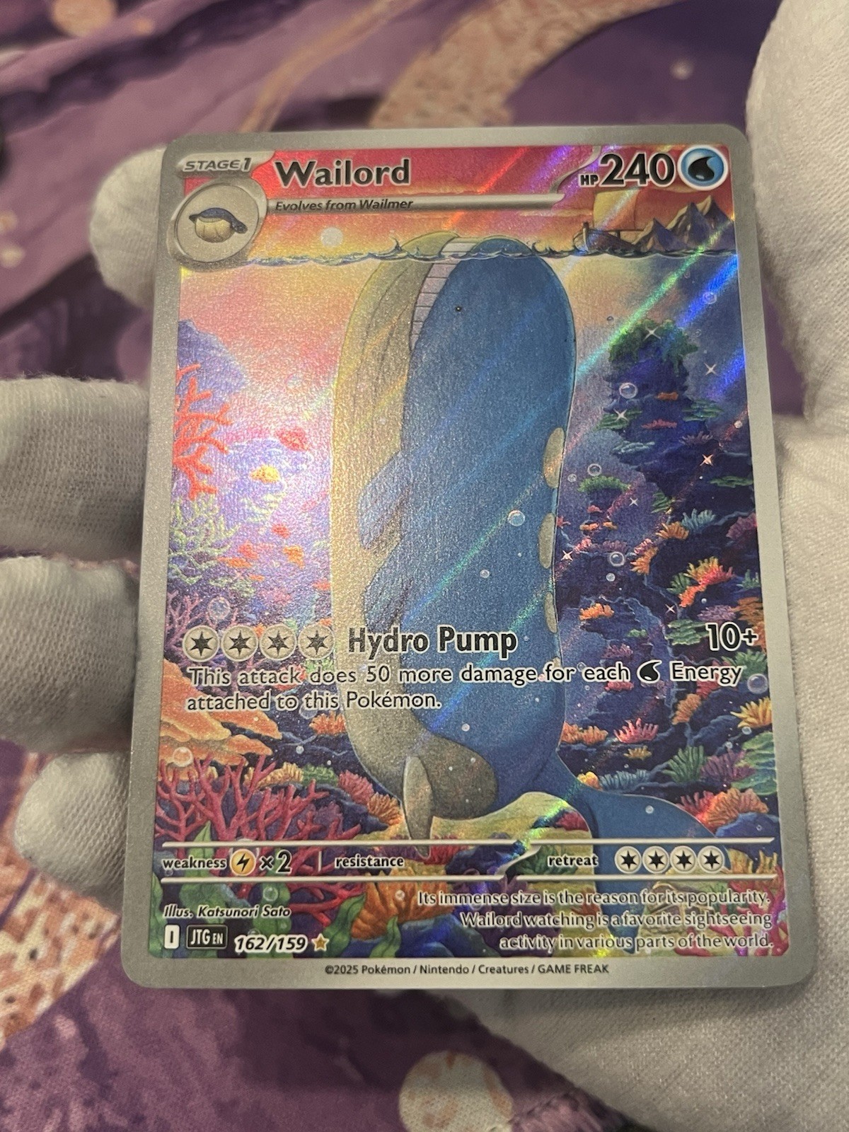 Pokémon TCG Wailord 162/159 Journey Together Holo Illustration Rare LP