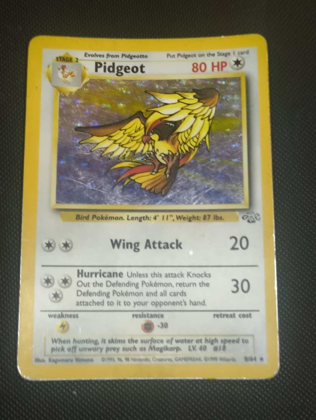 Pokémon TCG Card Pidgeot 8/64 Jungle Unlimited Holo Rare – HP