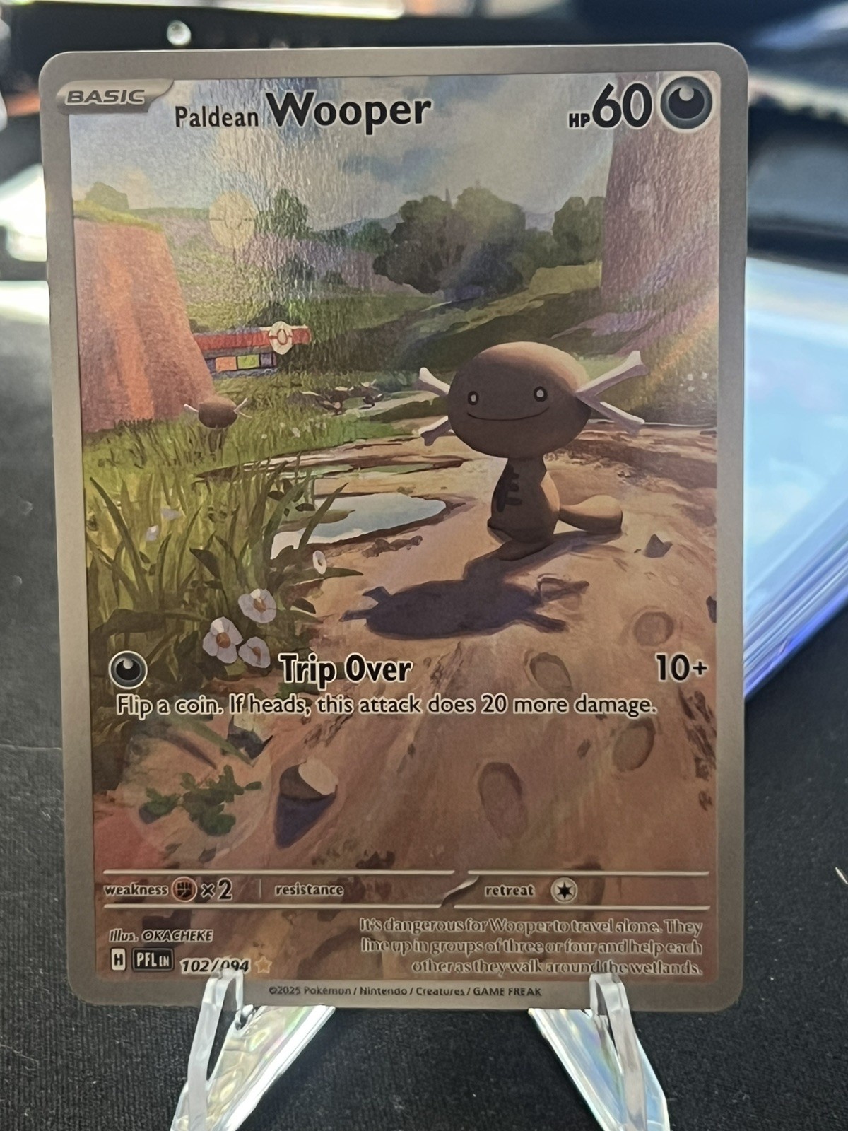 Paldean Wooper 102/094 Illustration Rare Phantasmal Flames Pokemon NM
