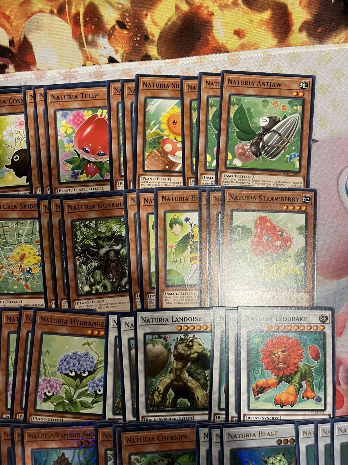 NATURIA DECK | Exterio Barkion Cherries Beast bamboo YuGiOh