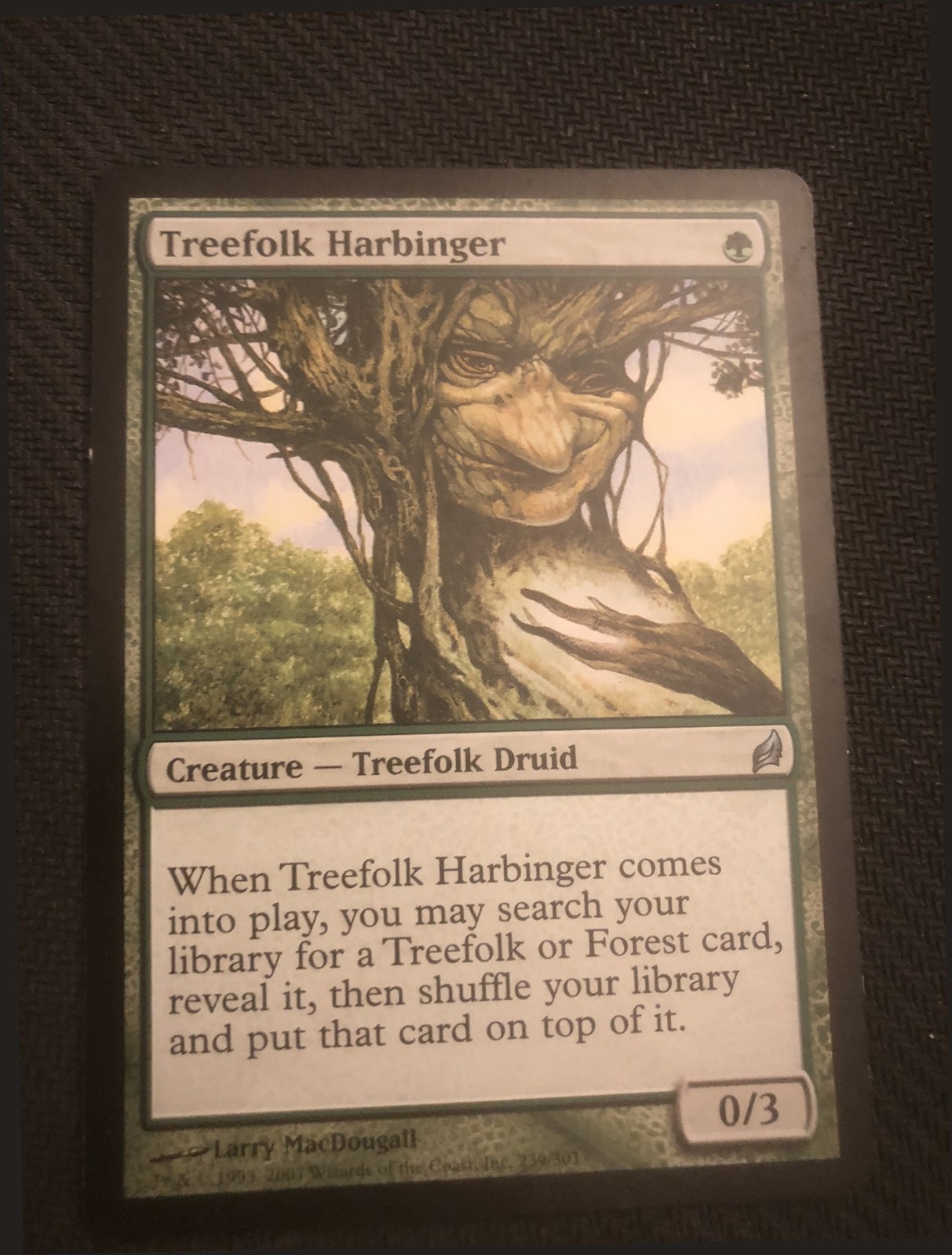 1x Treefolk Harbinger, LP, Lorwyn, MTG *FREE SHIPPING*