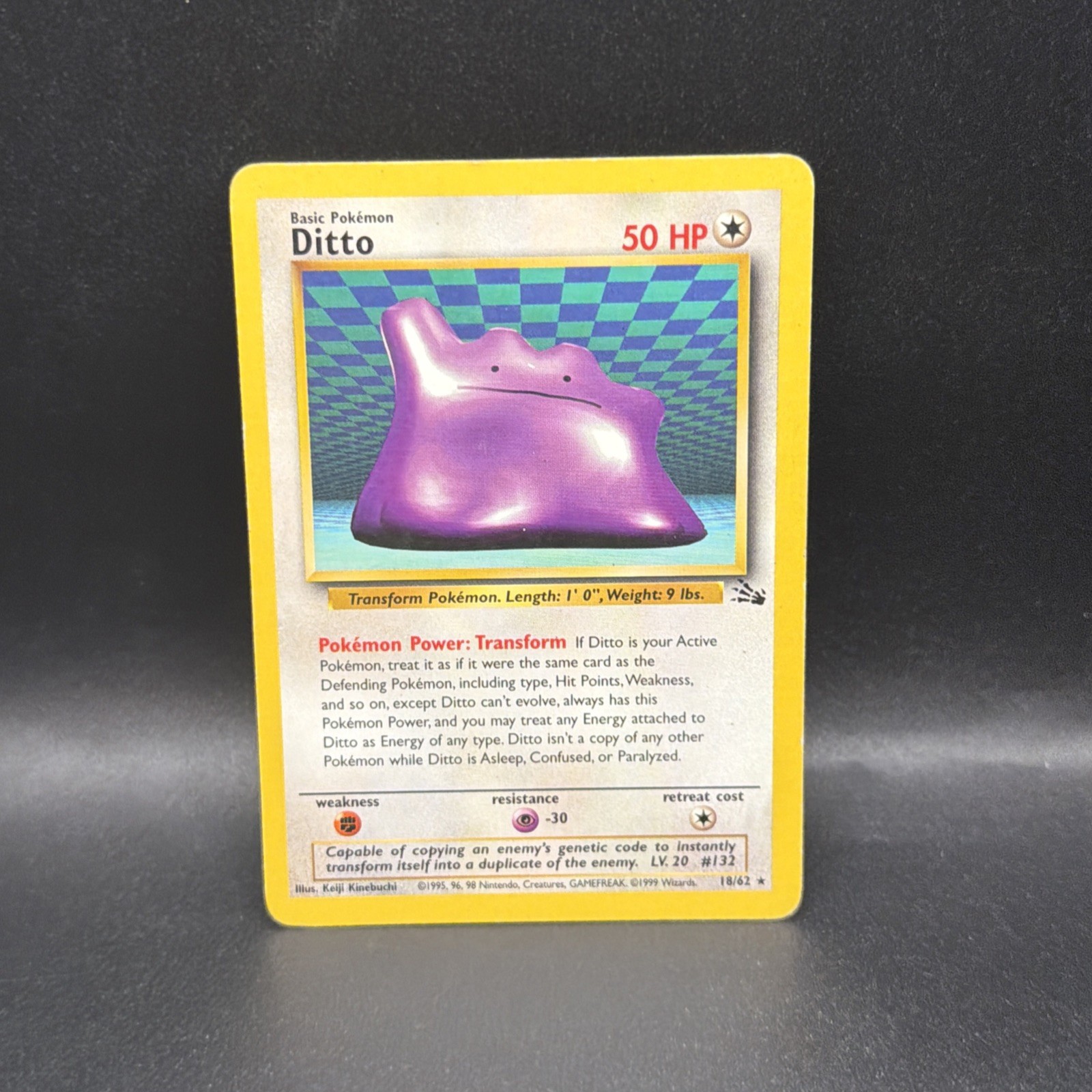 Ditto 18/62 Fossil Regular