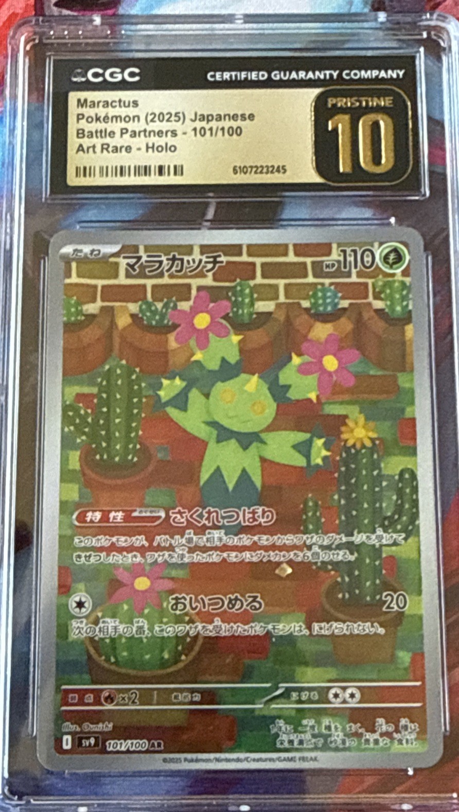 CGC Pristine 10 – Maractus 101/100 Art Rare Holo Japanese Pokémon Card 🤩