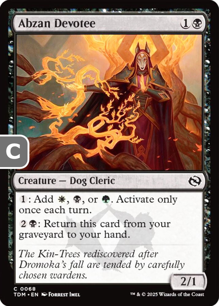 MTG Abzan Devotee Dragonstorm Common Creature Dog Cleric NM