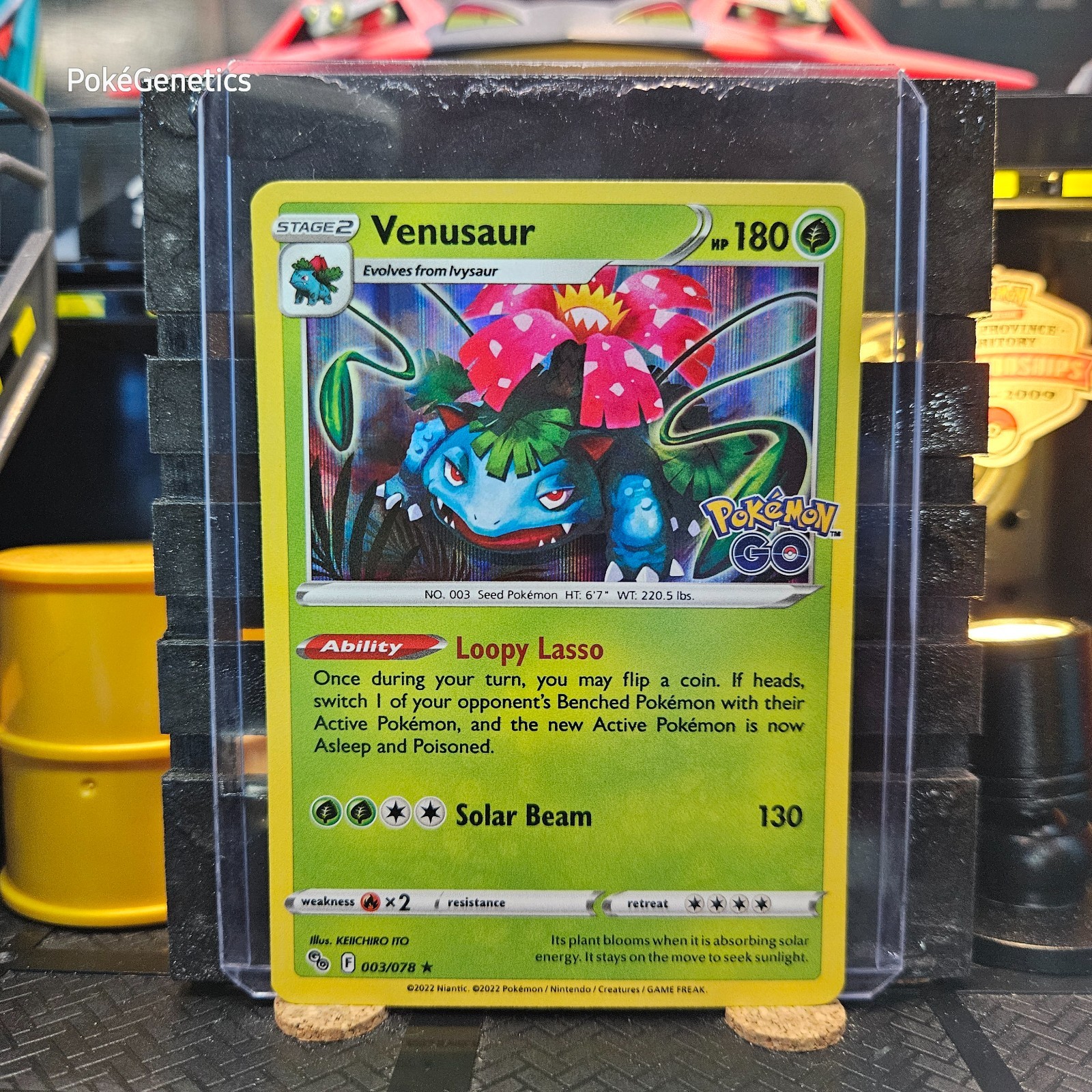 Venusaur Pokemon Go Holo Pokémon TCG 003/078 Rare