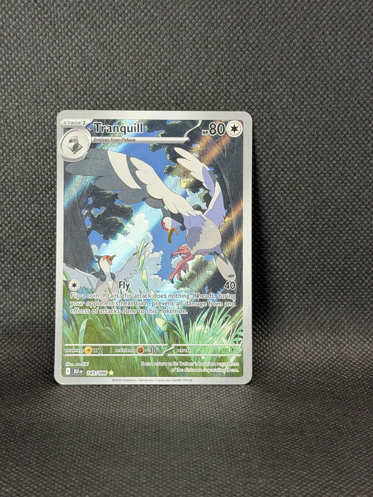 Black Bolt Tranquill 149/086 Holo Illustration Rare Pokemon NM/M