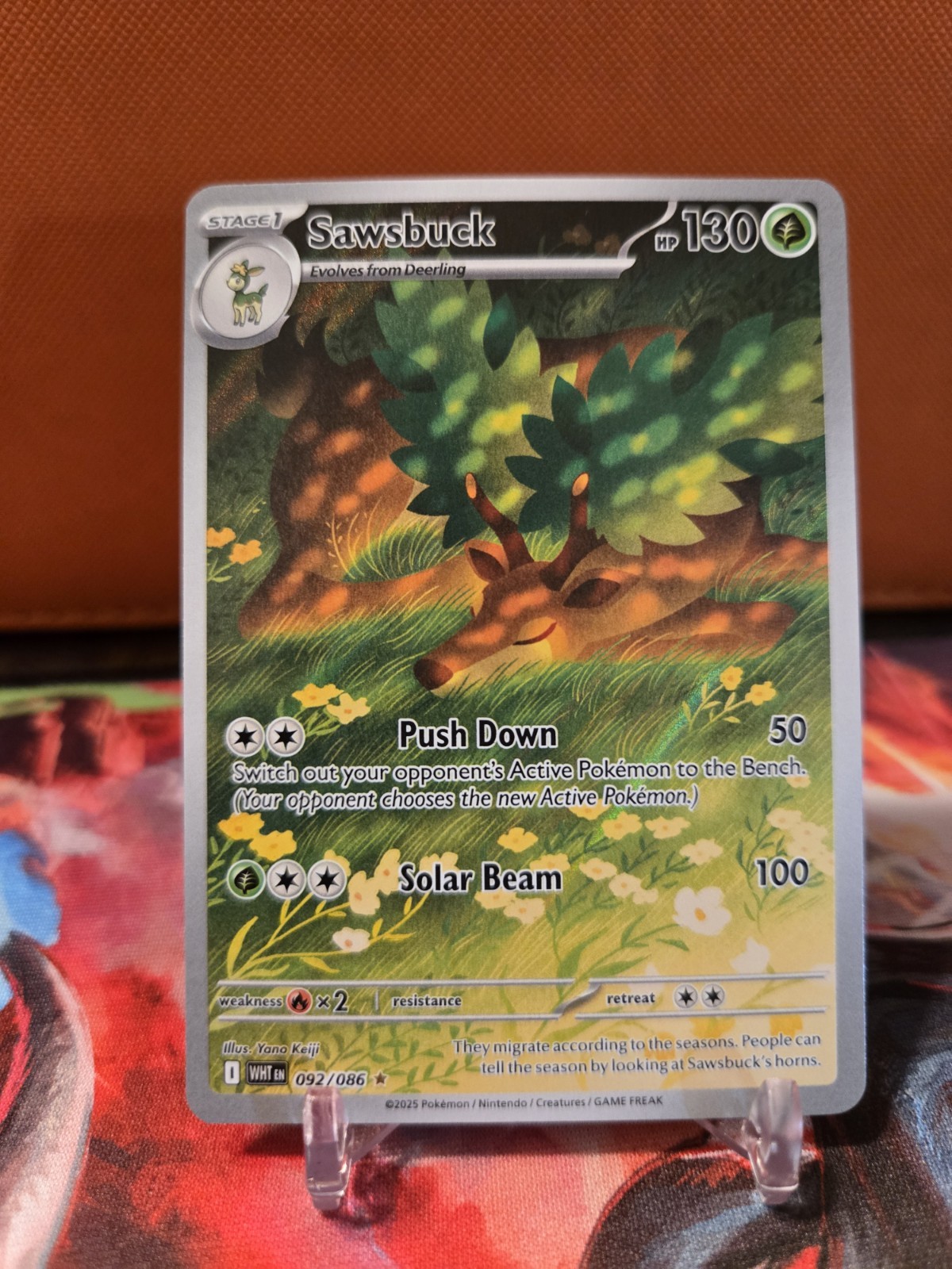 Mint Sawsbuck IR Illustration Rare Pokemon White Flare English TCG 92/86 NM