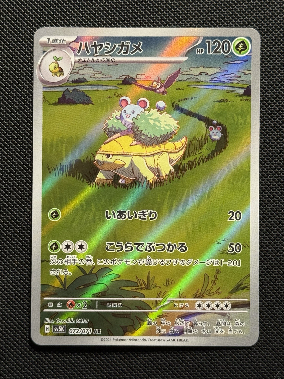 2024 Near Mint Pokemon Grotle 072/071 AR Wild Force SV5K Japanese US SELLER!!