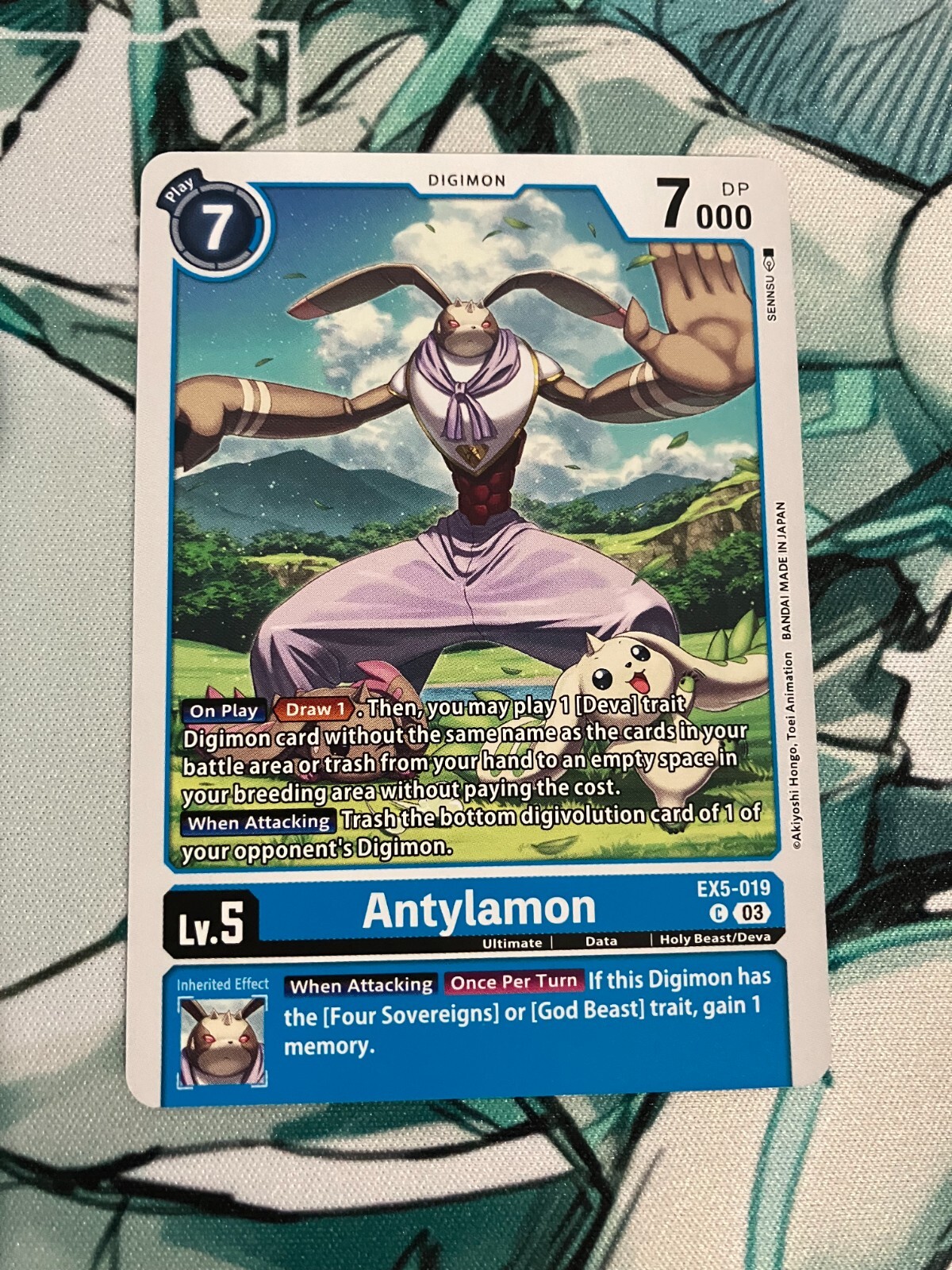 Antylamon EX5-019 C Digimon CCG | Animal Colosseum Near Mint