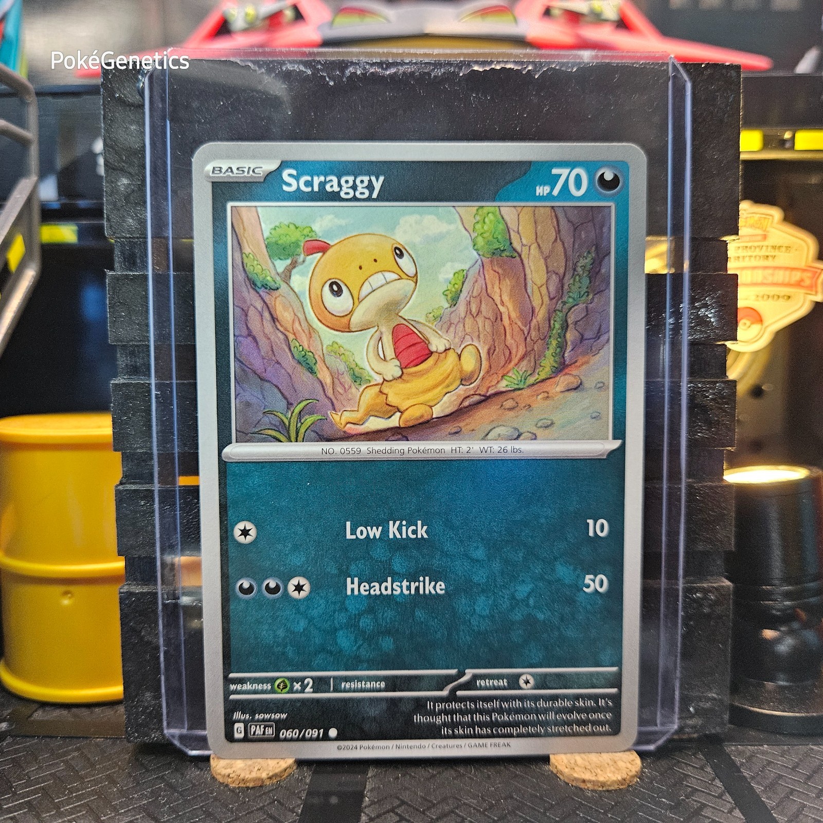 Scraggy Paldean Fates Pokémon TCG 060/091 Scarlet & Violet Common