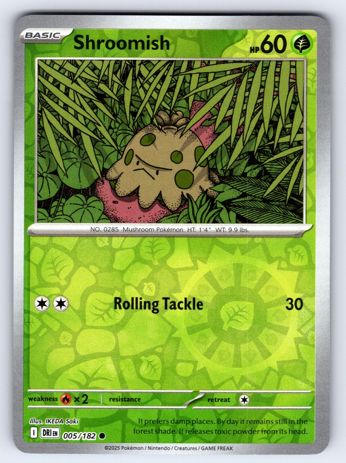 Shroomish 005/182 DRI Reverse Holo Common Pokemon TCG IKEDA Saki NM