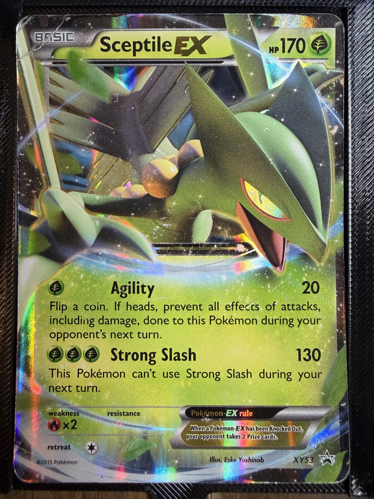 Sceptile EX XY53 XY Black Star Promo Holo Full Art English 170 HP #XY53 – HP/DMG