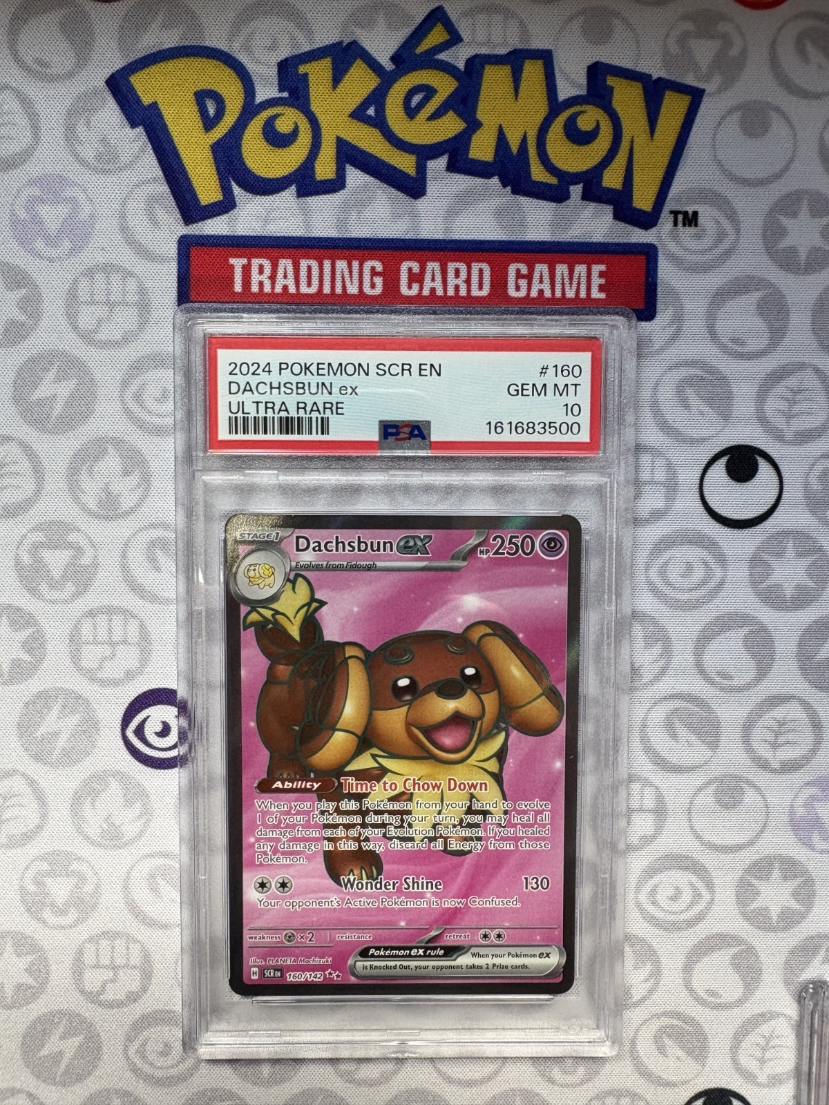 Dachsbun EX 🔥 2024 Pokemon Stellar Crown UR 160/142 🔥 PSA 10 Gem Mint