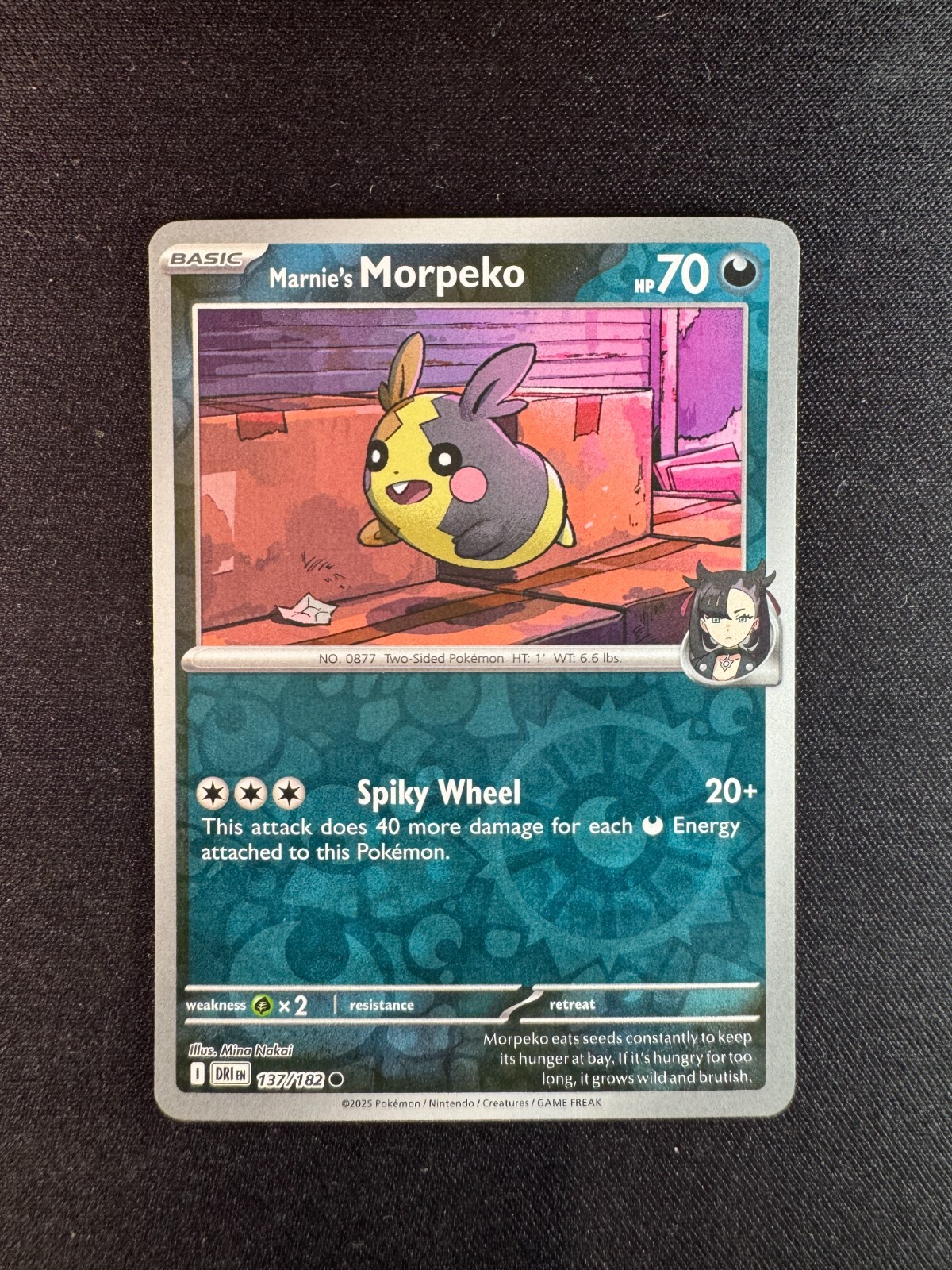 Marnie’s Morpeko 137/182 Destined Rivals Common Reverse Holofoil Near Mint