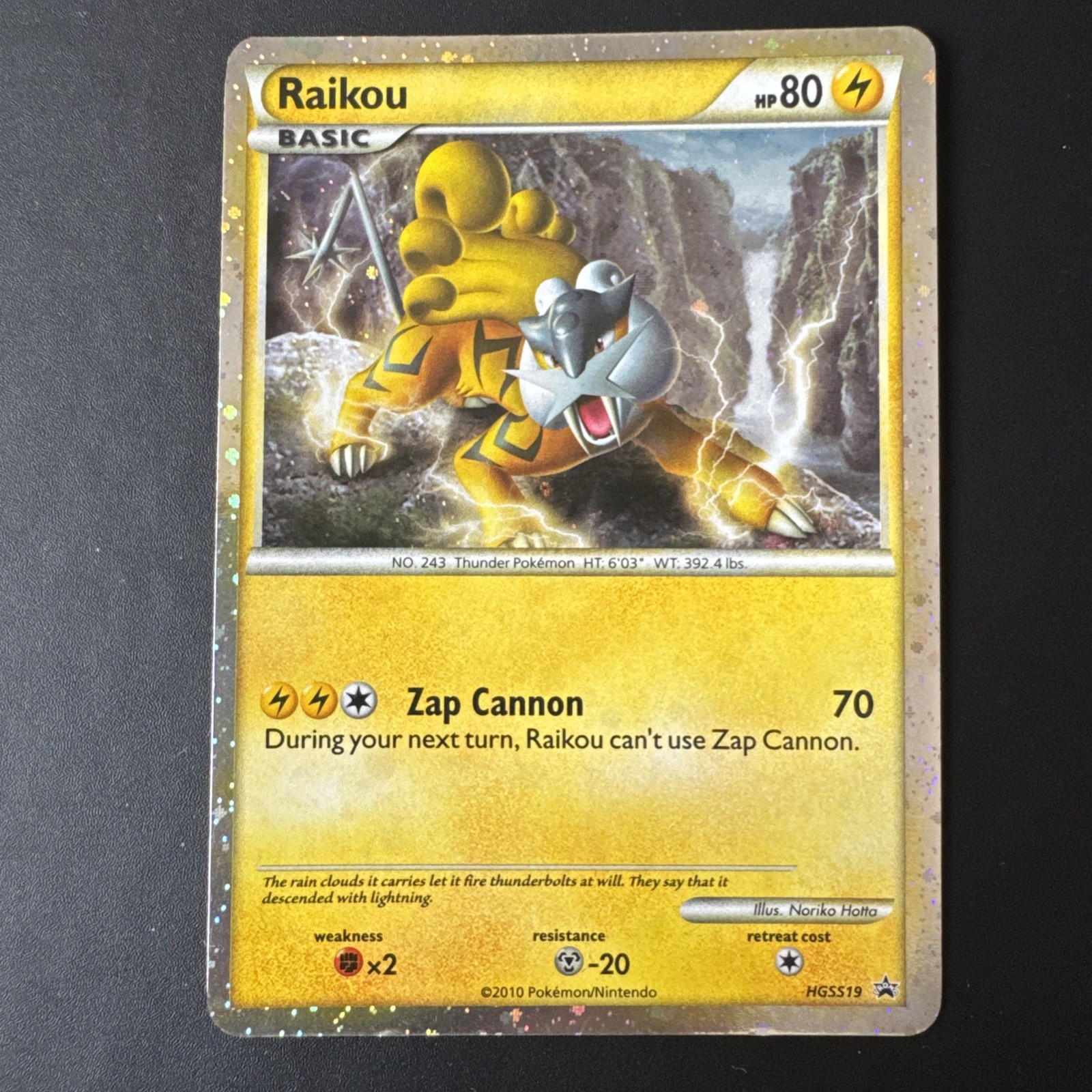 Raikou HGSS19 Shiny Holo Black Star Promo Card 2010