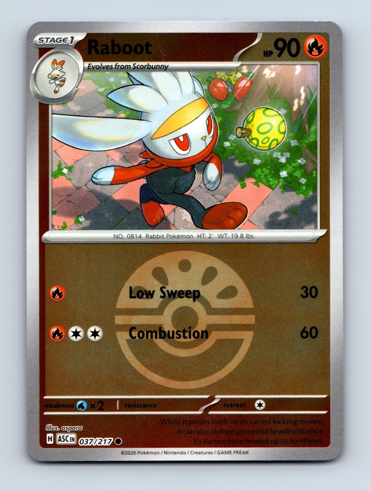 Raboot (Friend Ball) 037/217 Common Ascended Heroes Reverse Holo NM