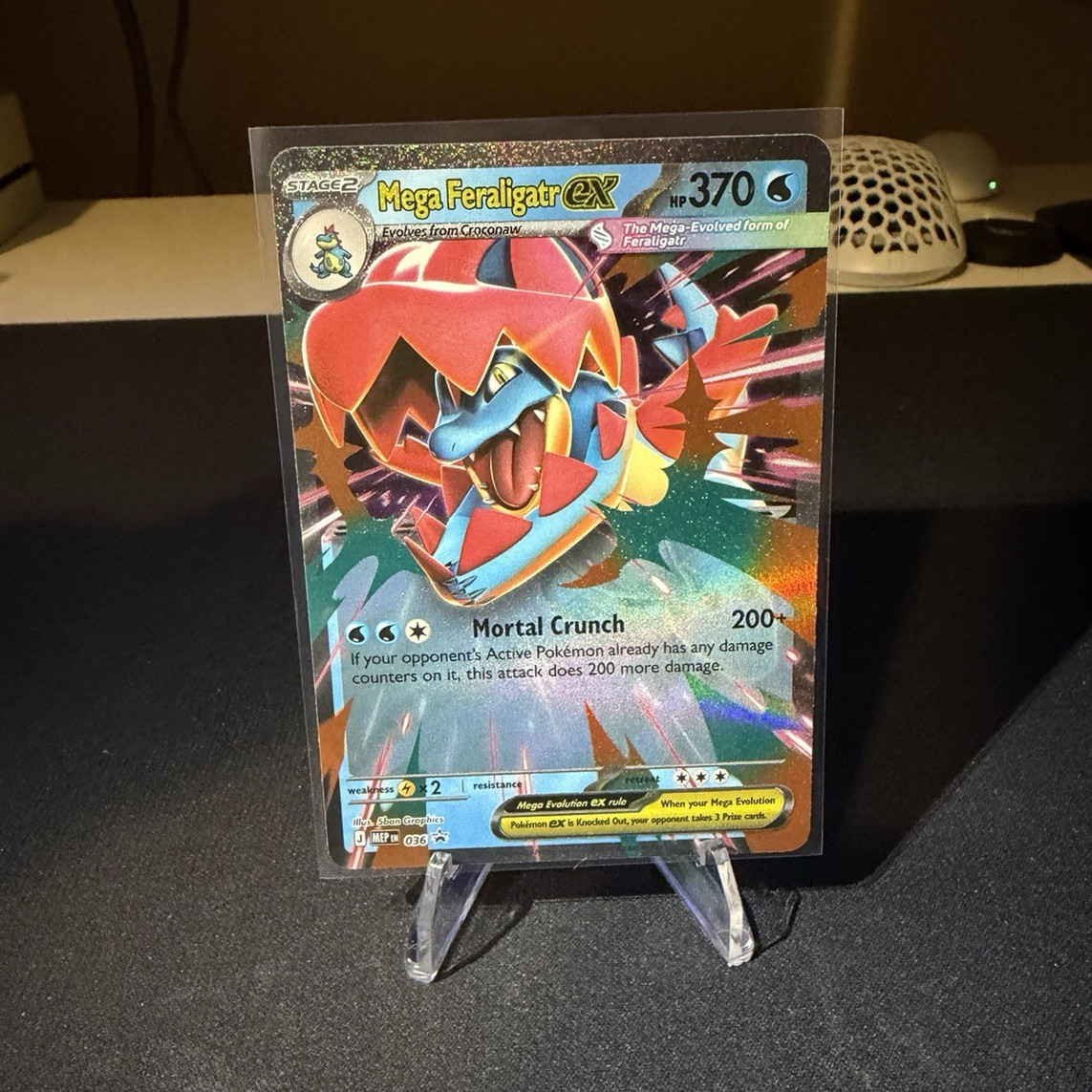 Pokemon TCG Mega Feraligatr EX 036 Promo Holo ENG Stage 2 370HP