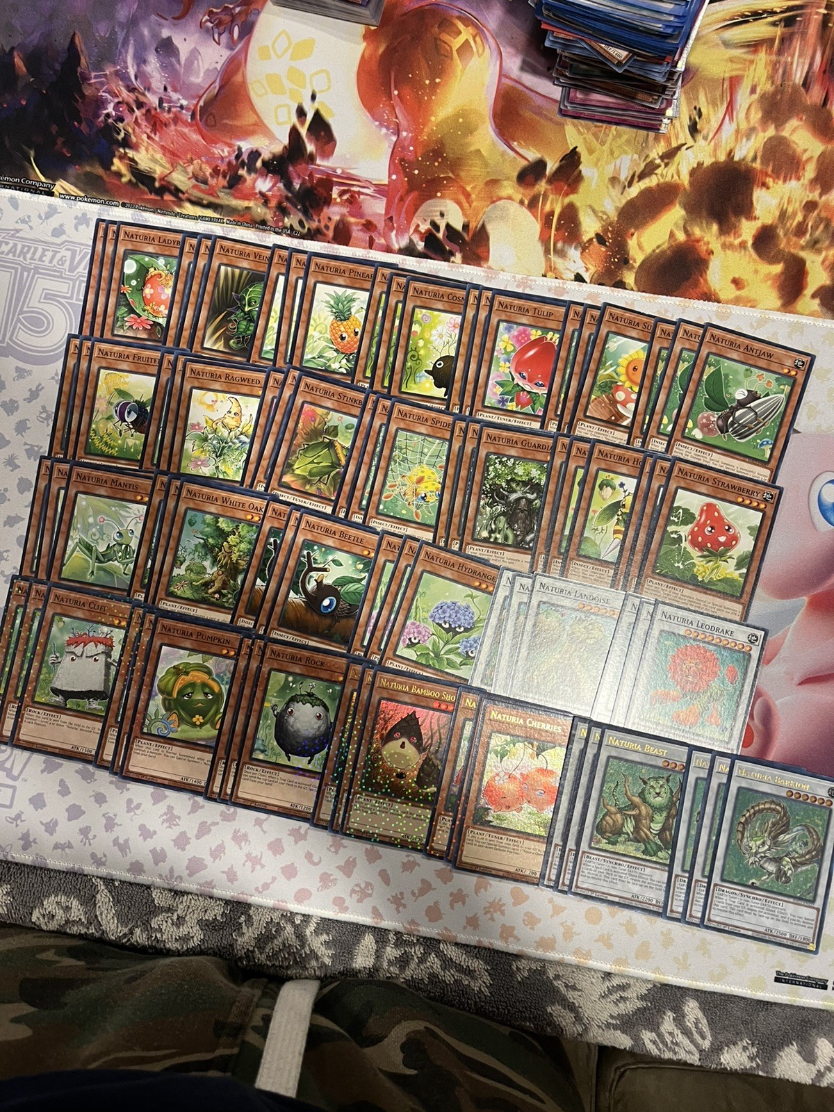NATURIA DECK | Exterio Barkion Cherries Beast bamboo YuGiOh