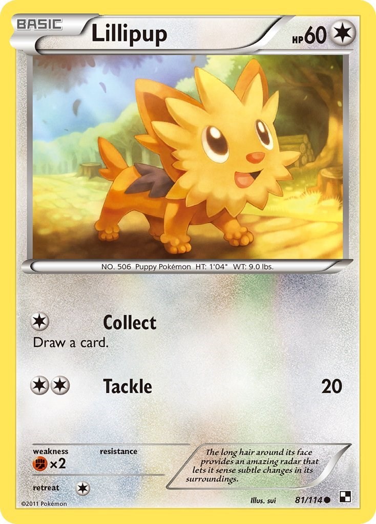 LP Lillipup (81) [Black and White 81/114] Common Pokemon TCG